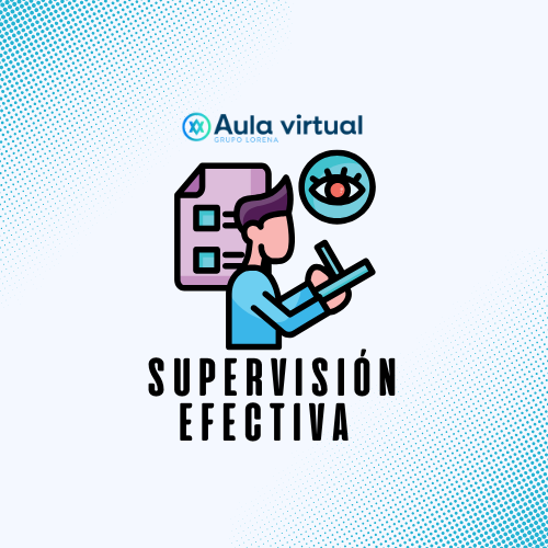 Supervisión Efectiva 